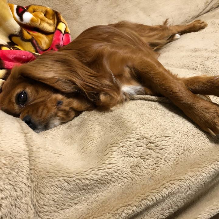 6358eaa2 625f 44cd a952 29ca0c620e90 1581518374299