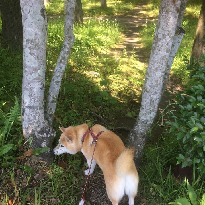 6358ffc5 2bbf 42e7 b25e 2c3594c94503 1527433769609