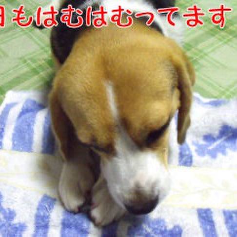 6358ffd0 c9ec 47b1 a388 43c8e2f3852b 1723587535907