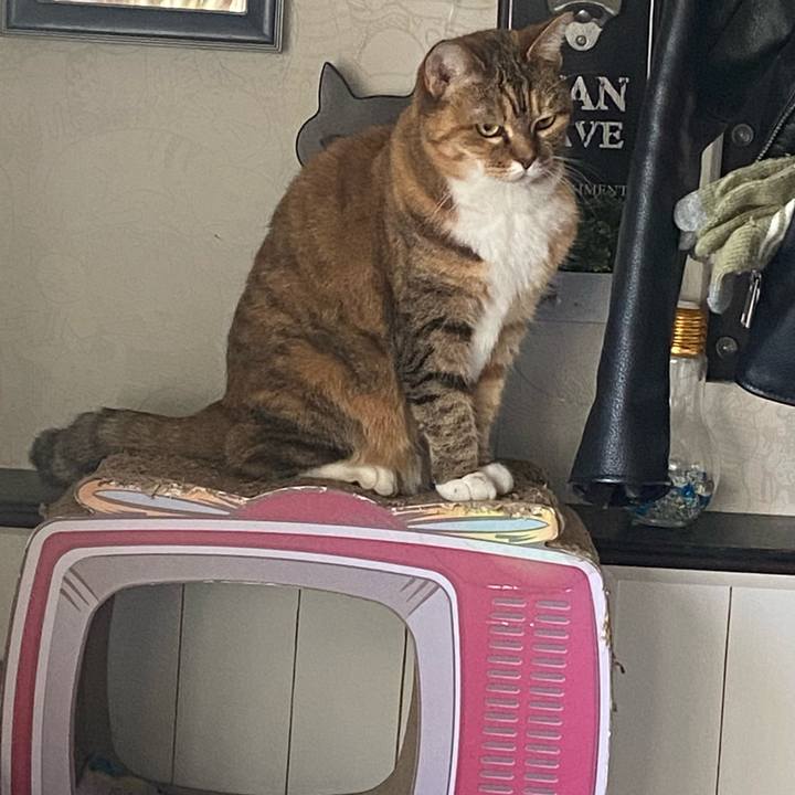 6359028a 9ec2 468f aaf3 39b36116d94f 1672380999715