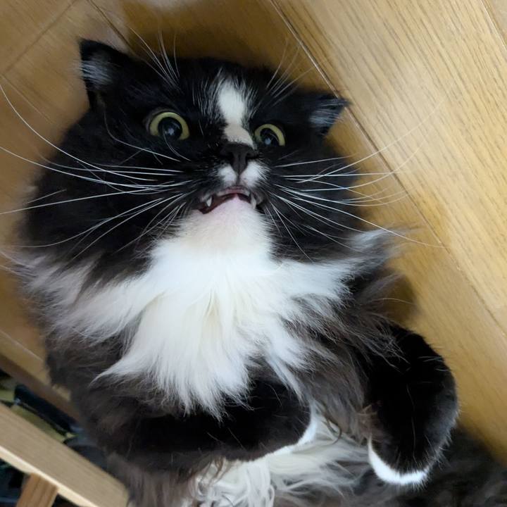 63591daa 0c77 464a a308 2e7edad042a1 1752838511603