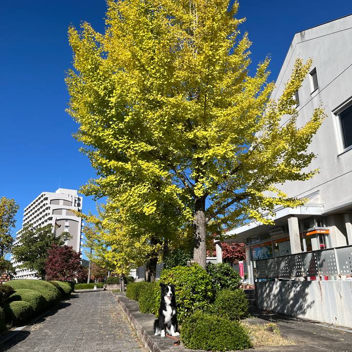 63592cea dea0 4bd3 9630 6e7cfeee54ff 1761711167640