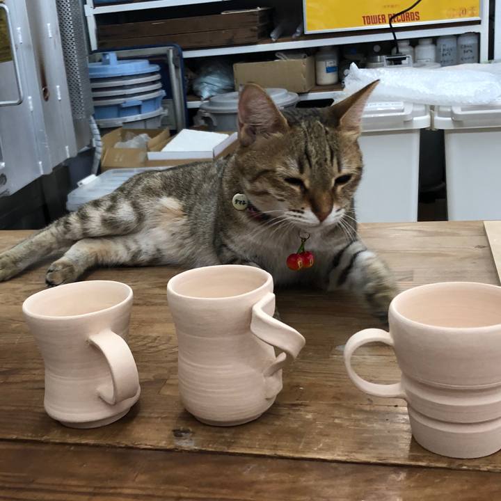 63594fe4 0fef 4637 8424 b219240c3633 1626319377546