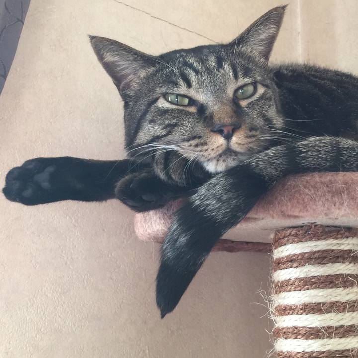 63597e05 acc6 4622 8e00 7de5f117fa8f 1553694219410