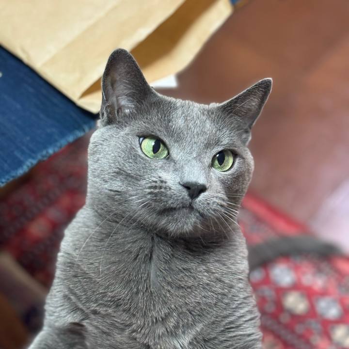 63597fe3 847a 4d77 bea0 c644d2f3934b 1774769698248