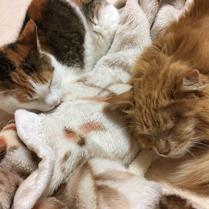 635992f3 8a6f 4eaf a2e1 bd42f0131a1d 1523075063015