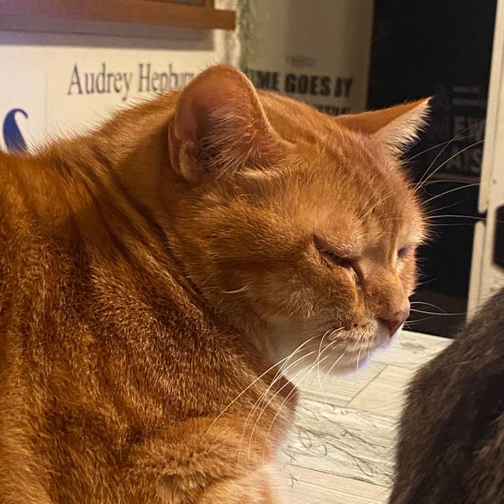 6359ab99 616f 47d9 ba1d 477a4bc2ae05 1584455941927