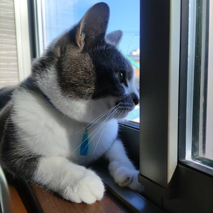 6359b96a b106 48d0 ae2e 237e7e085d46 1654035184913