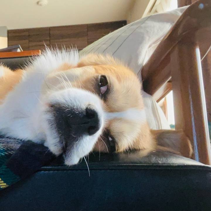 6359c243 c03d 4b48 855e 7b5ac432aa4b 1610854509741