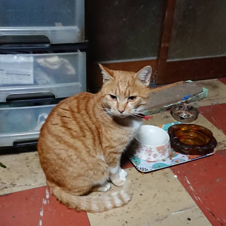 6359f34a cabb 4b4c b851 dac4c3e53537 1576269832475