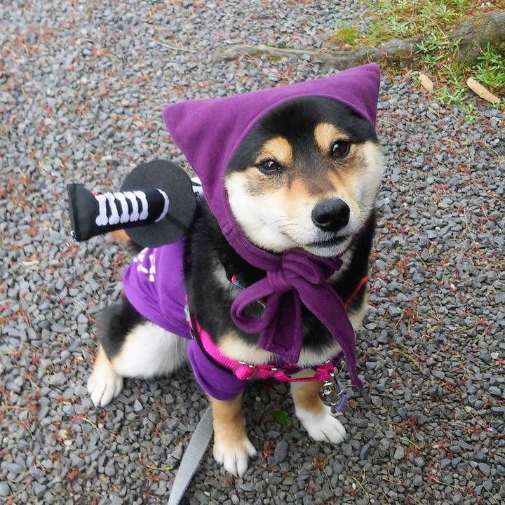 635a05a0 31c8 492d 871b a88c28676952 1758935587562