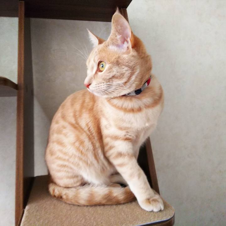 635a2c8e 94d9 4e18 a539 014d175ecbbf 1552266148026