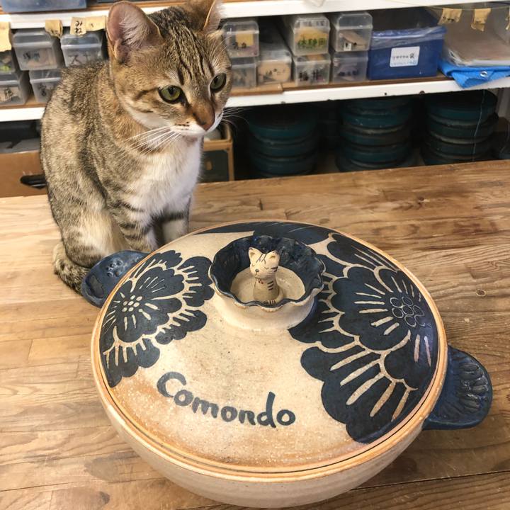 635a584e 806e 4591 acc1 a8a9dfb6e2fe 1614584947628