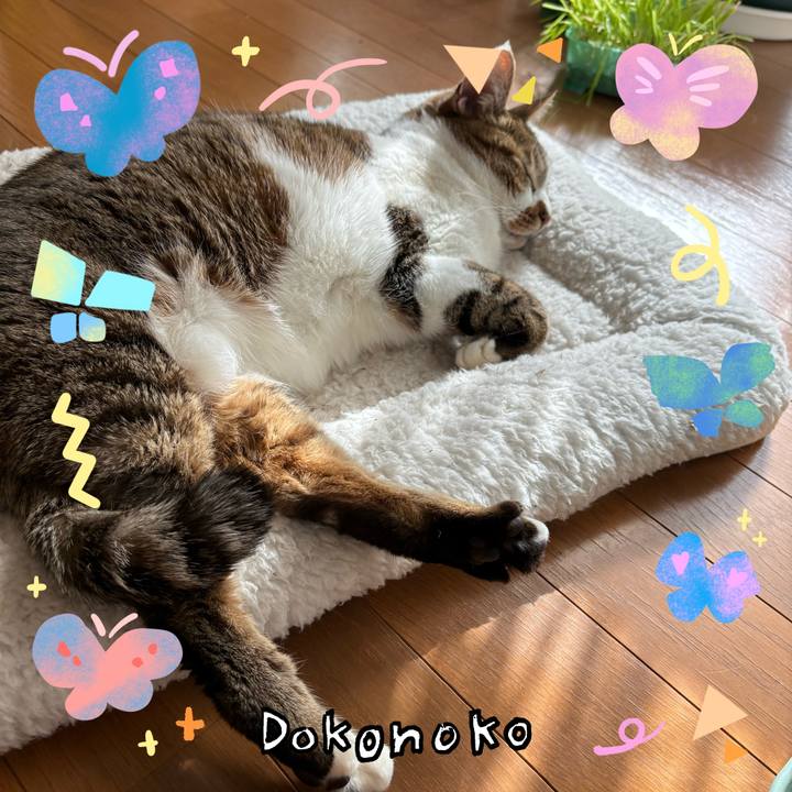 635a72c9 52a3 4e73 9a4f 4a0d8b392a6b 1711085605145