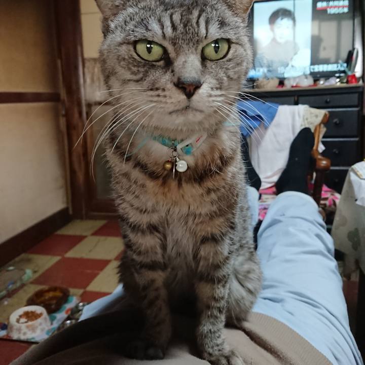 635ae32d 1200 428d b820 4fa3b640b168 1572744037664