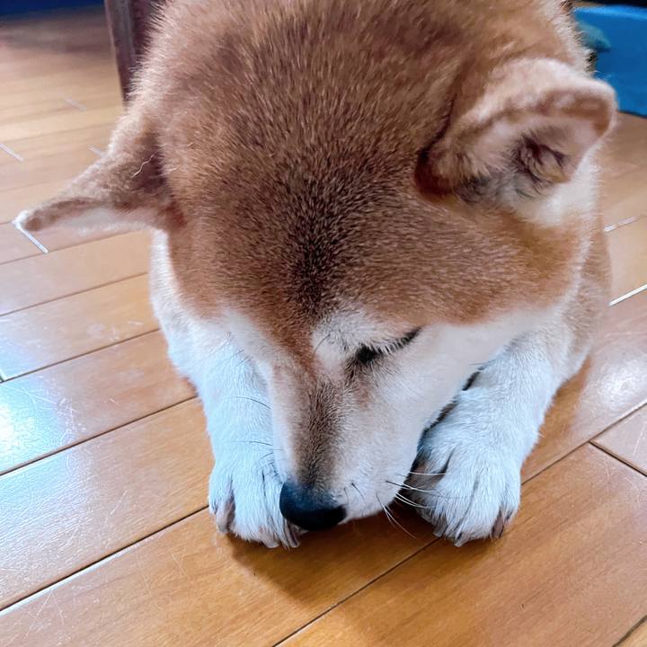 635b24fd aa2e 4750 83ee 0ef7b1a9b5af 1693960144026