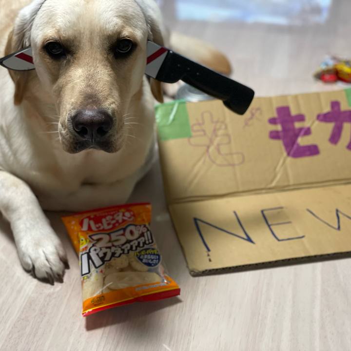 635b320d f536 42a5 a37d a5ff8fb94275 1655126523959