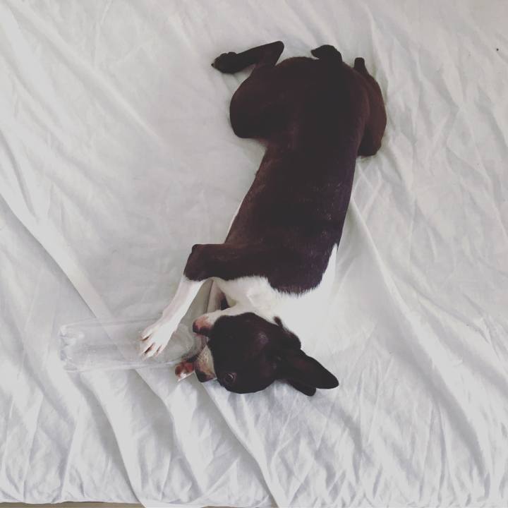 635b70e4 ed23 4bbc ac40 50fe5352a2be 1525915817260