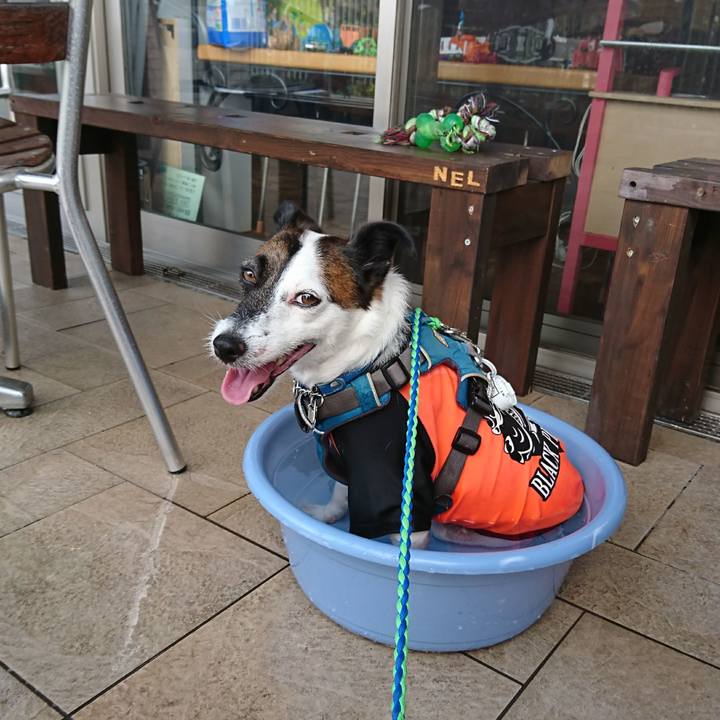 635bb03c 8056 4b52 ab00 83af1fc09332 1598315813648