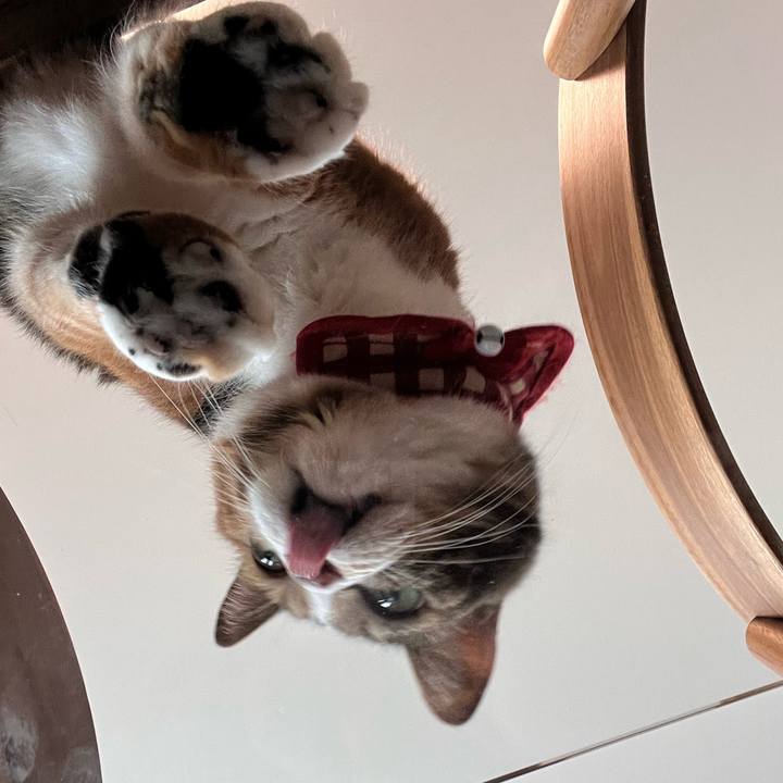 635bb449 73f5 4a17 b506 8b22986784aa 1761485969397