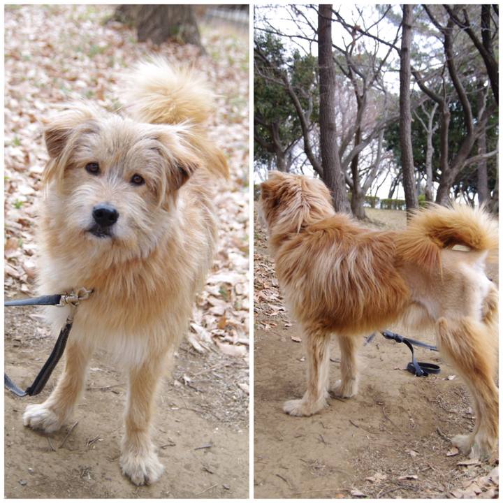 635bd0e2 8de9 4260 a207 3a9b767e4c8e 1555908758503