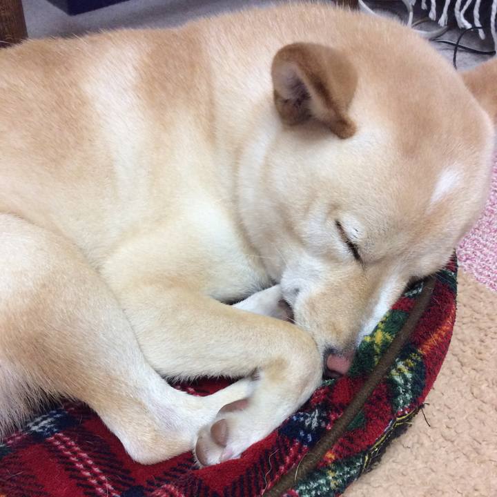 635be06e f36f 4c37 ba57 e4a099e6ae23 1541421995687