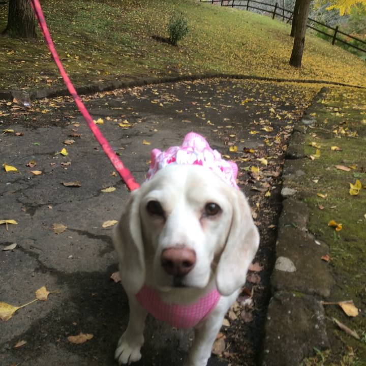 635bffc7 ab02 4f48 b69d b371161301b7 1582560262981