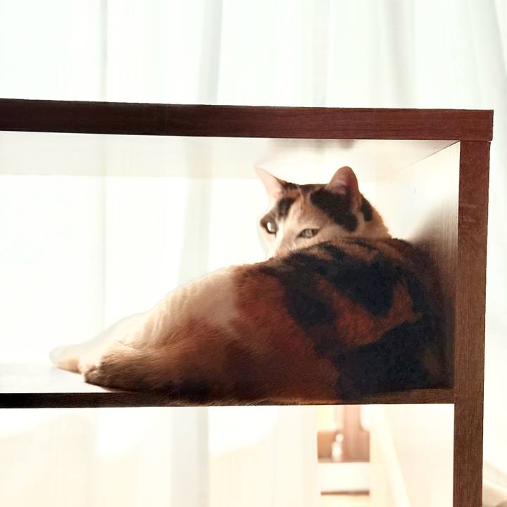 635c11db e78f 4c91 baa9 4bbe0be20301 1742521060517