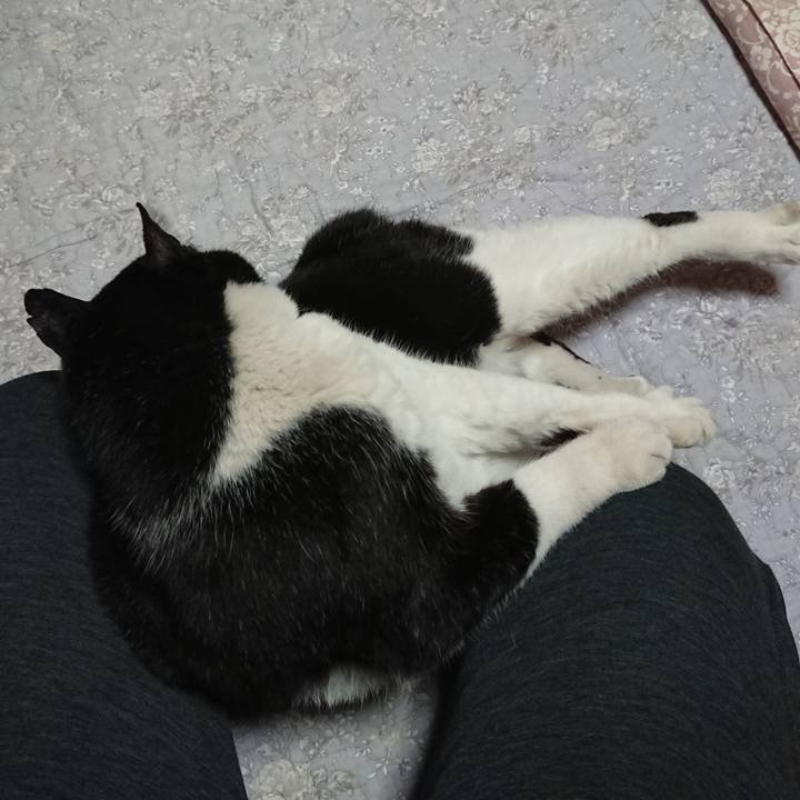 635c1a86 4e7f 4ae4 947b 5c9713cf4132 1675504580542