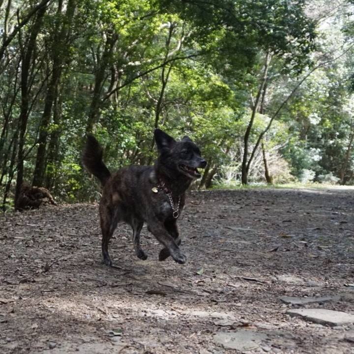 635c47d7 e8f6 4a11 86c3 aa62167034d8 1525097599768