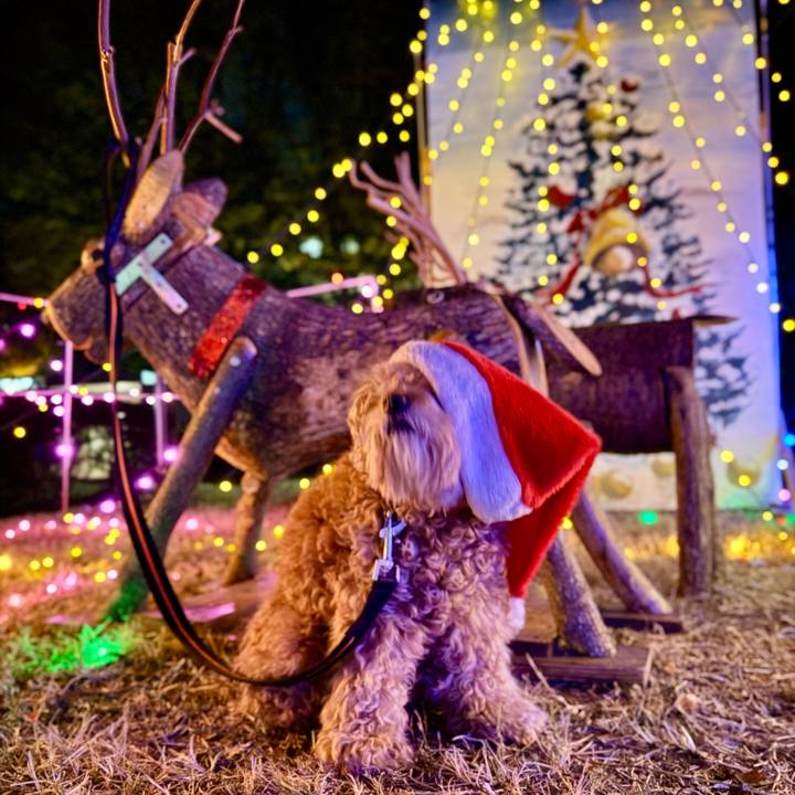 635ccce4 ecd5 4f72 8adb 9aec0f981a01 1763787271478