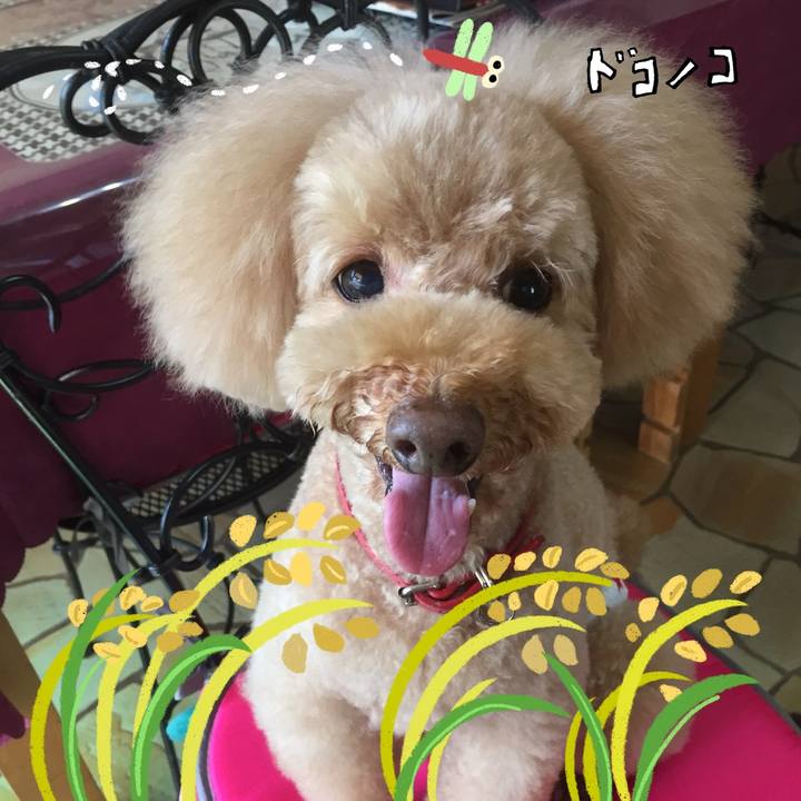 635cf94a 74a9 4a55 b566 14deb30952ff 1761291395569