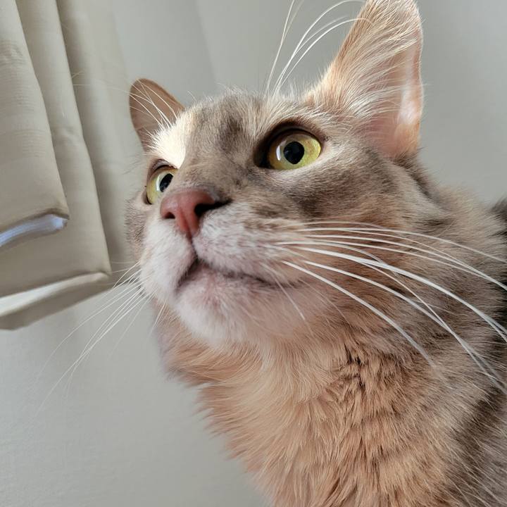 635d18b5 9dd0 4e15 926d f51ef3843bdc 1674261274412