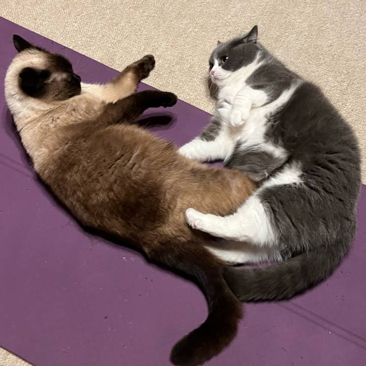 635d34ae 647b 402f b30f b1d28b8f70f1 1653094303088