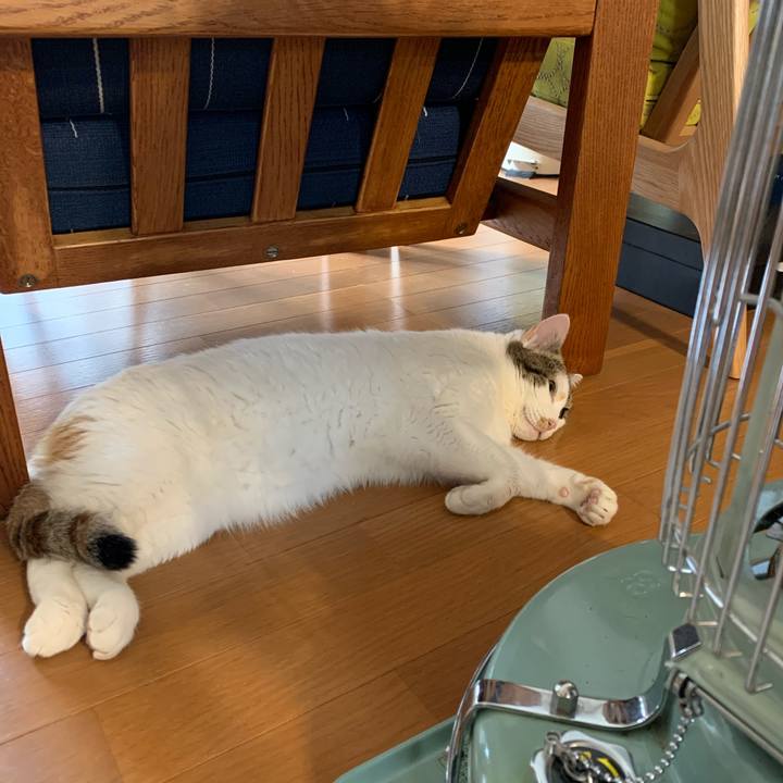 635d44dd b08f 4fa2 83db c1075b00bbdc 1648422804223