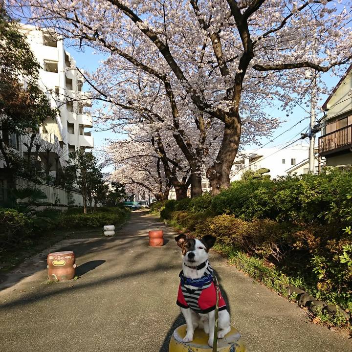 635d87fe 6437 4775 a5e8 2f613d6d087e 1522015851247