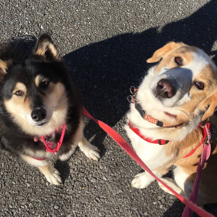 635dc8ad 6b3f 4af9 8beb d24db09afe96 1512205513806