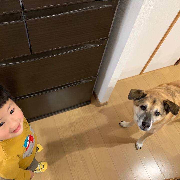 635dce39 5070 498e a506 ae8bd2c7c571 1548408276915