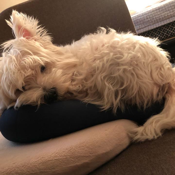 635dce73 5fd4 4307 afe8 575e5ad69e74 1568019677473