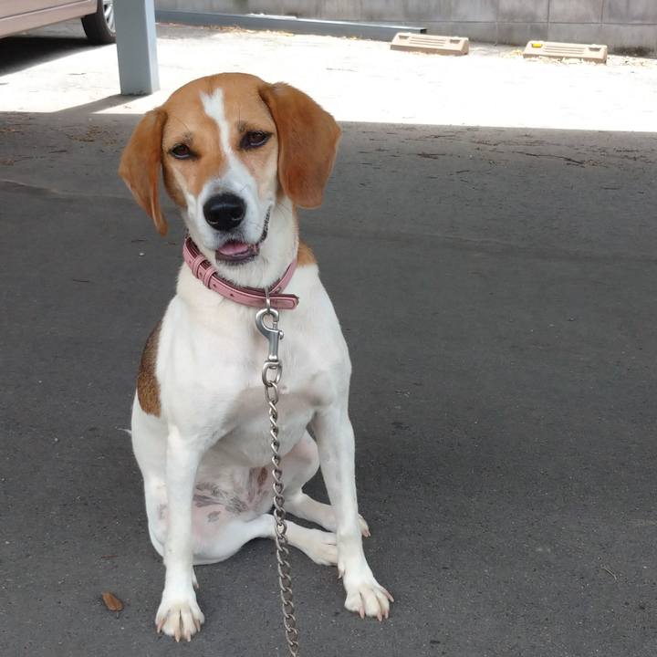 635e0ac3 a4e8 4390 b6d5 2fb369757d7a 1595905713749