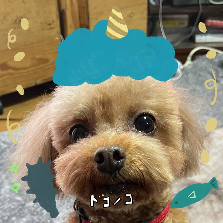 635e5a16 0911 4753 b14a c74e5ac8ed09 1706955606953