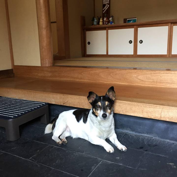 635e874f b8ae 4c69 952e edb98bfbc431 1689556443302