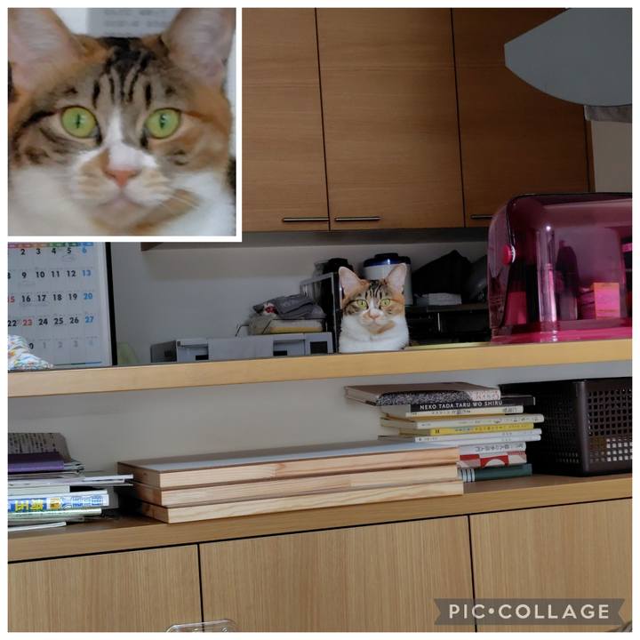 635ed80b 55e3 4ae4 b34b 85f84bd21fe2 1757990156395