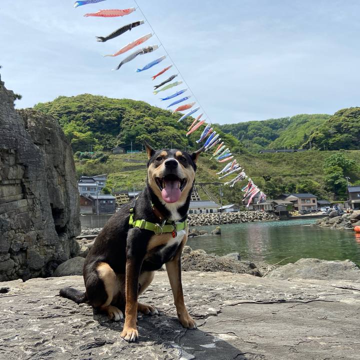 635edb8b ba29 451f 81da 146363522a6f 1620136098922