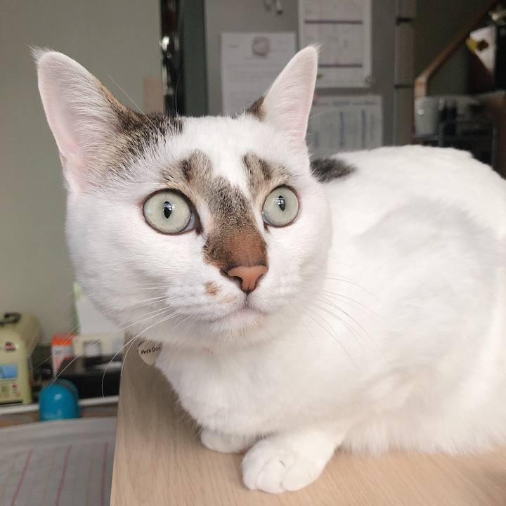 635edddb b9cc 44f9 bfa3 bb5ecac54b7a 1565430731056