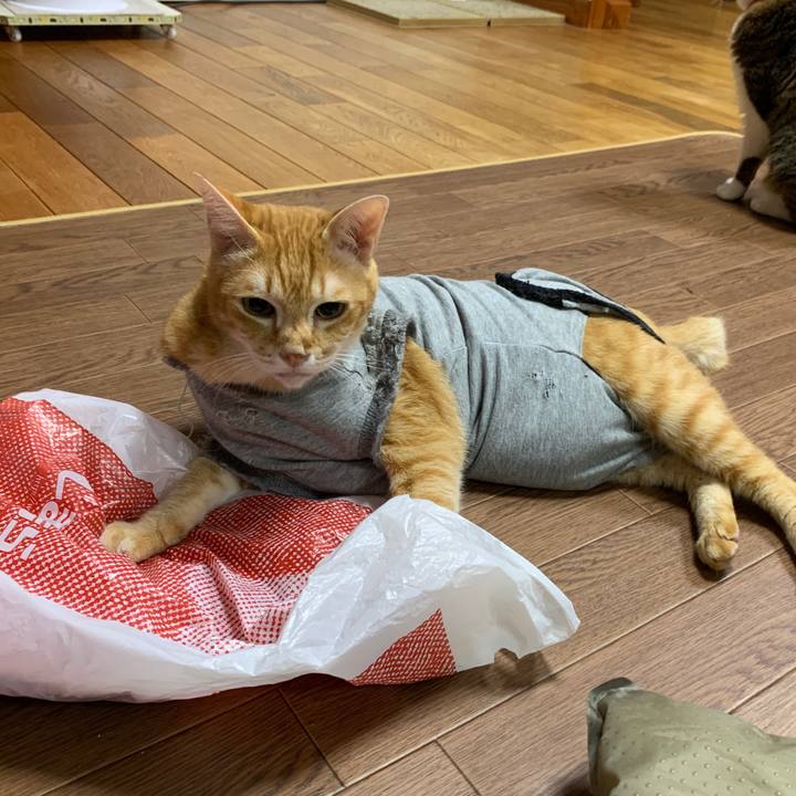 635ef62e 6ff6 489c b446 326ccea705d3 1657138237377