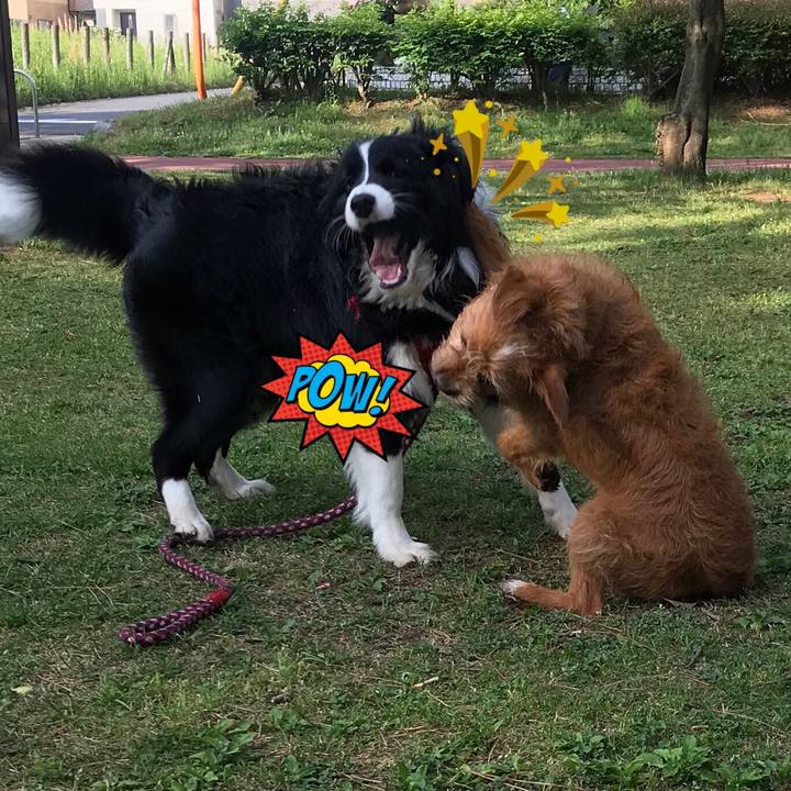 635f125c 5b9a 41e8 bb73 82de696f439f 1589369929728