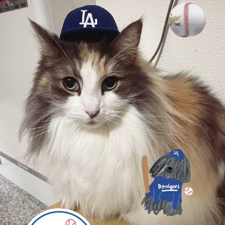 635f5830 0288 4049 91e7 cebe4d44f881 1742128928288