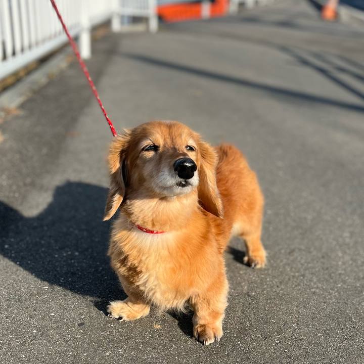 635f8dc4 3331 40c5 a1a0 34737c093364 1645870156425