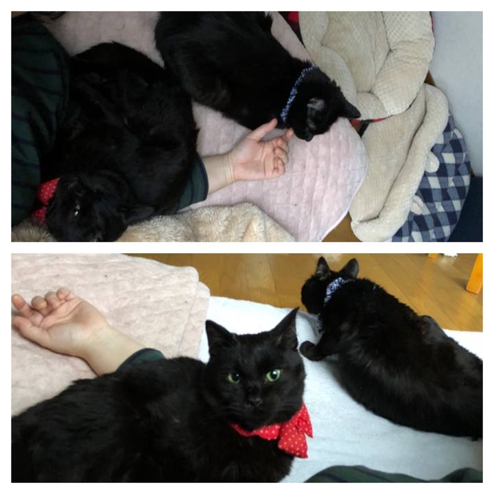 635f8e6d 4f85 42fd 8a56 8618a8b2c8dc 1554239969275